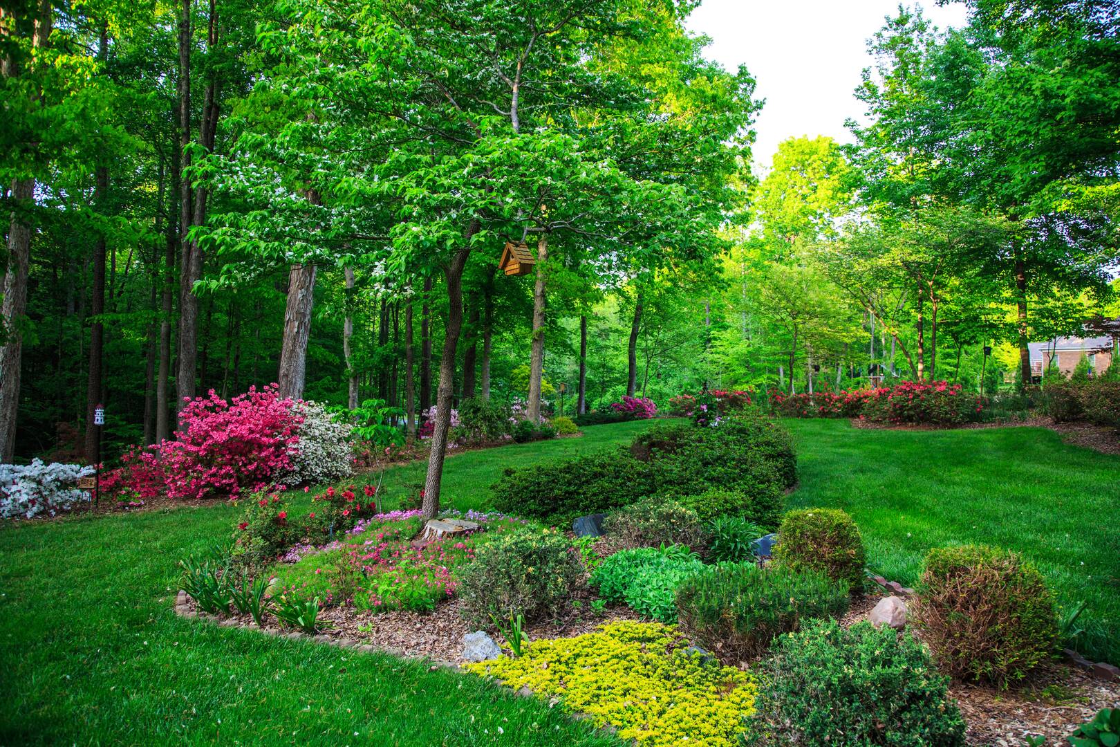 Wholesale Plants & Products
