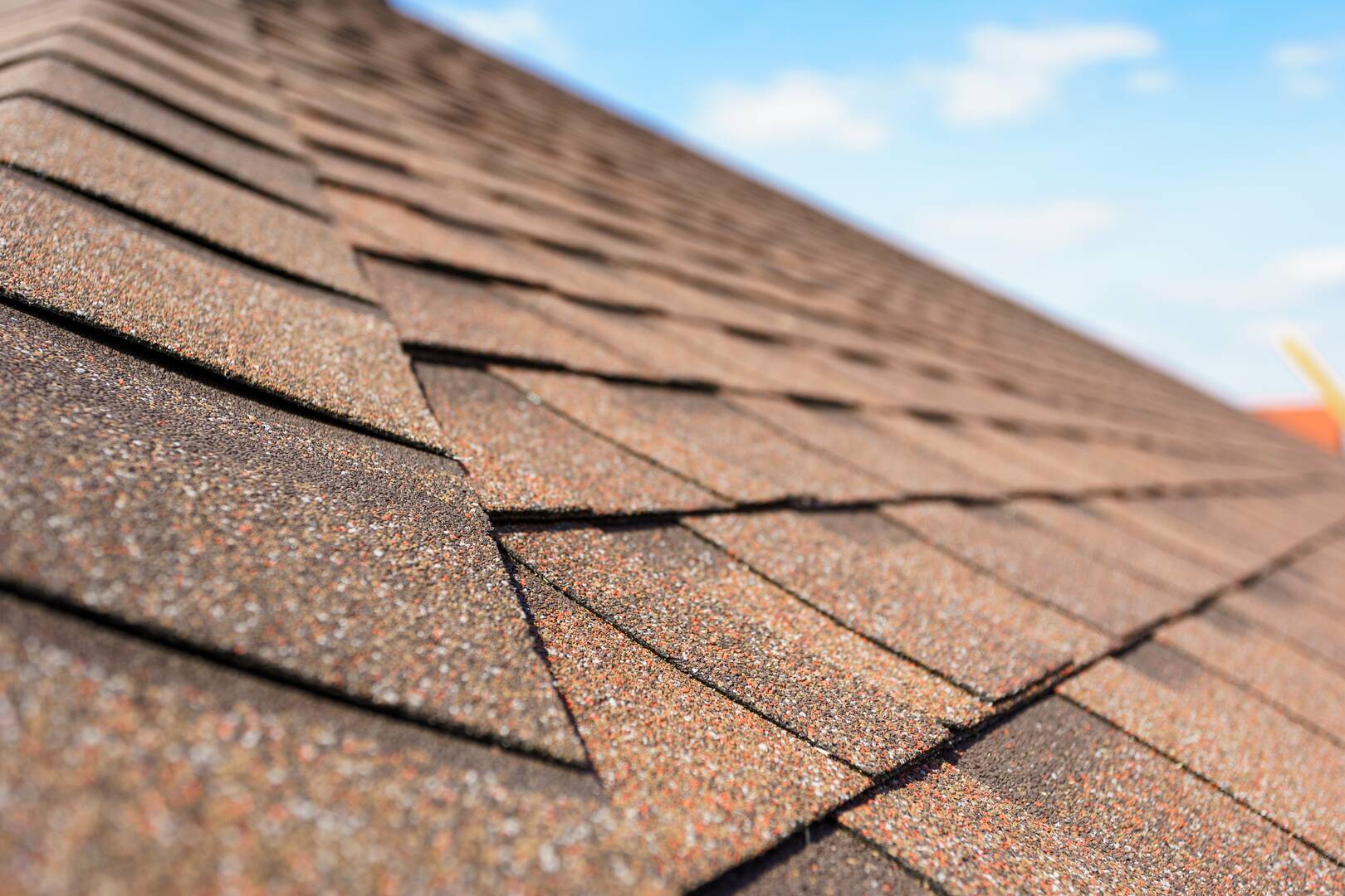 Loyalty Roofing & Construction